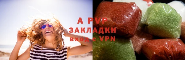 гашик Богданович
