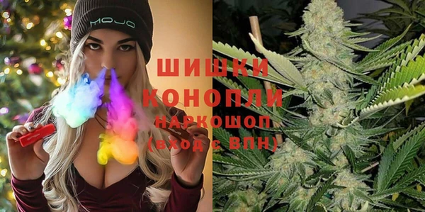 гашик Богданович