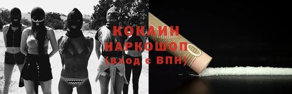 гашик Богданович