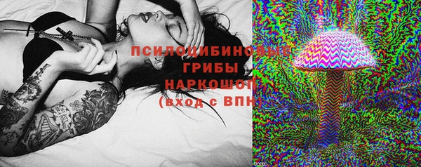 марки lsd Белокуриха